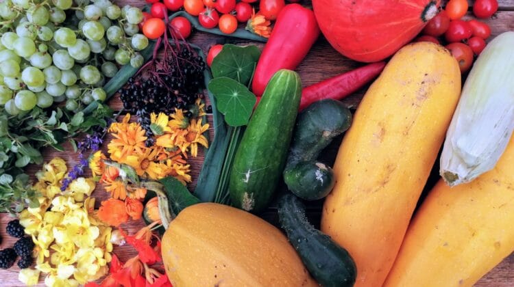 Jak na větší úrodu a sladší plody? Jednoduše!